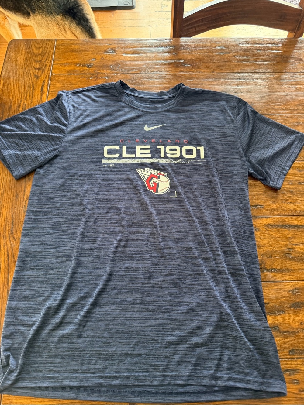 Nike Men's Navy Cleveland CLE 1901 Graphic Short Sleeve Tee